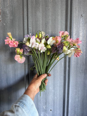 OLFCO x Schoolhouse Farms : Farm to Table bunch