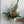 Holiday Bouquet