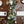 Ruscus and Eucalyptus garland on wood table